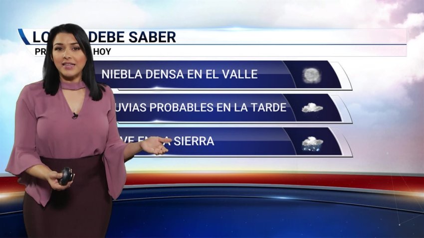 Niebla, lluvia y nieve en el pronóstico