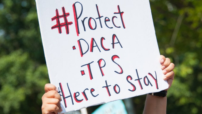 Tlmd-protect-TPS-DACA