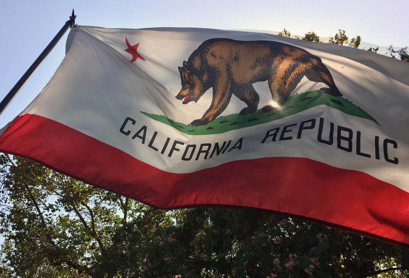 <strong>Bandera estatal</strong>: la bandera del oso<br>La historia de la bandera oficial de California data de 1846, cuando California todavía era un territorio de México. Un grupo de colonos se hizo cargo de la guarnición mexicana en Sonoma, donde izaron una bandera diseñada apresuradamente con un oso pardo y una estrella solitaria. California fue declarado estado cuatro años después, pero el sucesor de la bandera del oso original no fue adoptado por la Legislatura estatal hasta 1911.<br>