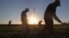 California ofrece servicios legales gratuitos a campesinos indocumentados