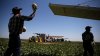 ¿Hay operativos de ICE en el Valle Central? Rumores aumentan el miedo en campos agrícolas y empacadoras