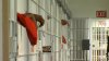 En Tulare: confirman 11 casos de COVID-19 entre los presos de la Cárcel del Condado