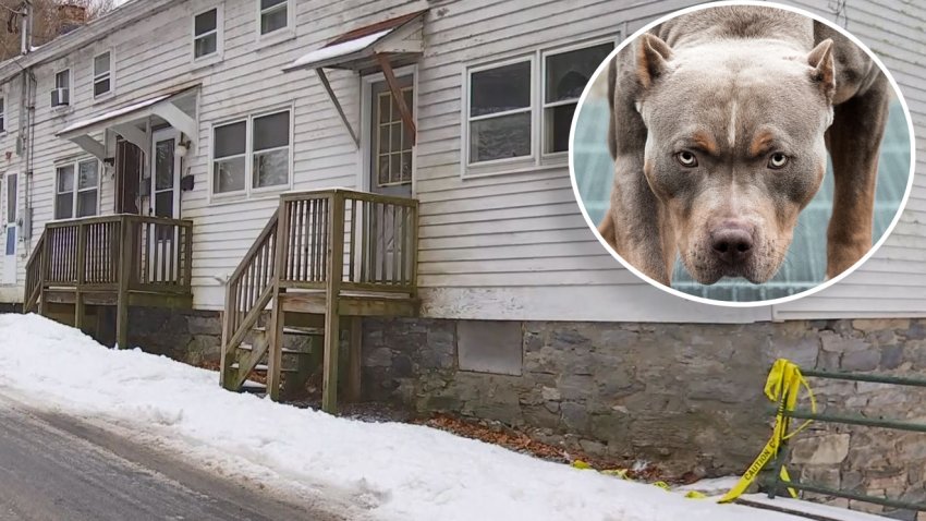 Policía: mata a vecino mientras intentaba salvarlo del ataque de un pitbull