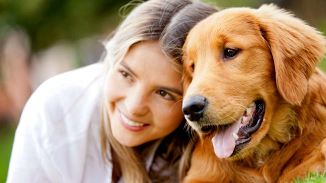 tlmd_terapia_caninapng_bim