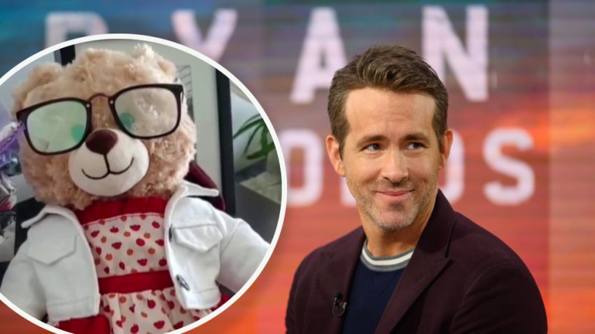 Conmovedor: por qué actor Ryan Reynolds ofreció $5,000 por peluche robado