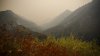 Humo de incendios forestales en el oeste de EEUU llega hasta el extremo opuesto del país