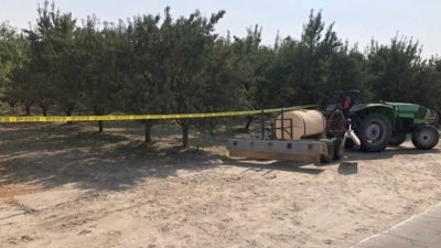 En Kerman: descubren cadáver en huertos de almendros
