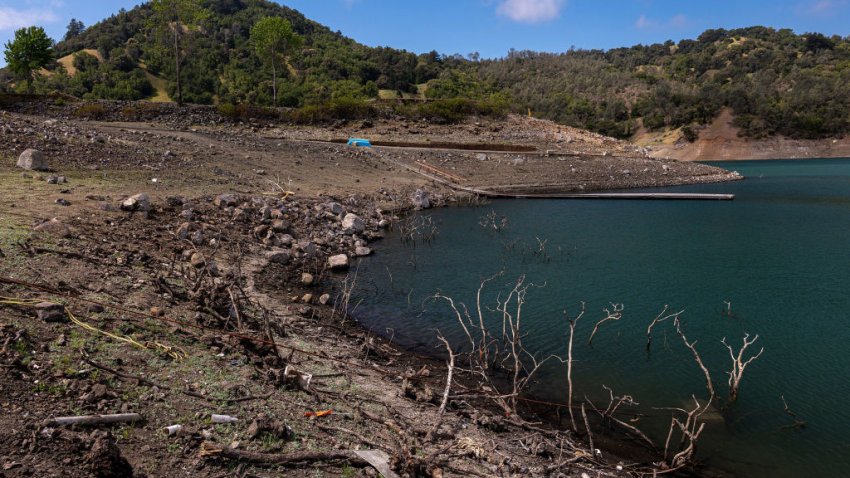 Dead branches on a dried lake bed at Lake Sonoma during a drought in Sonoma County, California, U.S., on Thursday, April 22, 2021. Governor Gavin Newsom declared a drought emergency Wednesday in two Northern California counties in response to arid conditions affecting much of the state and the U.S. West, Associated Press reports. Photographer: David Paul Morris/Bloomberg via Getty Images