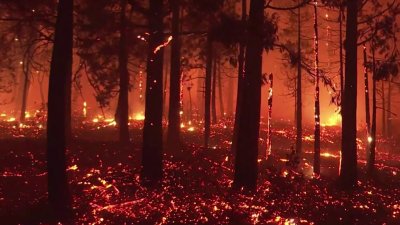 Incendio Dixie sigue arrasando con todo a su paso; otra comunidad podría ser devorada por las llamas