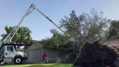 Ráfagas de viento provocan daños y pérdidas: ¿Hasta cuándo durará este fenómeno?