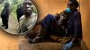 Viral: famosa gorila huérfana muere en brazos de su cuidador de toda la vida