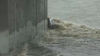 Sin pista de los conductores: hallan 3 autos en río de Los Ángeles durante tormenta