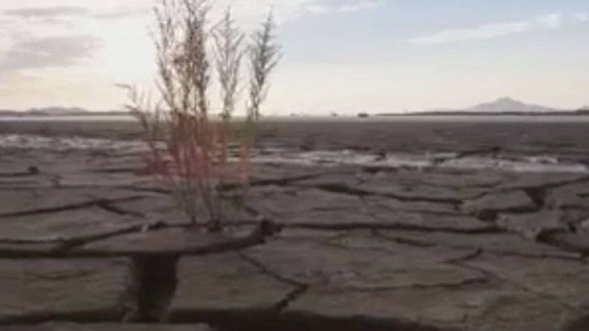 El 2021, el sexto año más caluroso en la historia