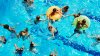 Consejos para nadar de manera segura en el verano
