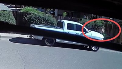 Vivo de milagro: joven padre es impactado por una camioneta y luego perseguido con un rifle