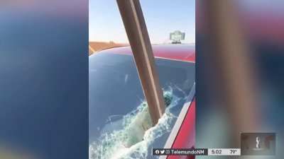 En video: barra metálica atraviesa el parabrisas de un auto y el conductor está vivo de milagro