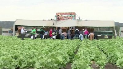 Tormenta invernal deja graves consecuencias para los cultivos y trabajadores del campo