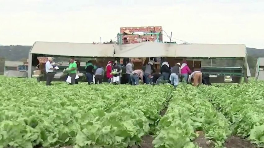 Tormenta invernal deja graves consecuencias para los cultivos y trabajadores del campo