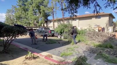 Tormenta con fuertes vientos deja destrozos en vecindarios de Fresno