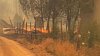 Incendios forestales en Chile: sube la cifra de muertos y heridos