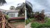 Caída de árboles deja a miles sin electricidad en Fresno