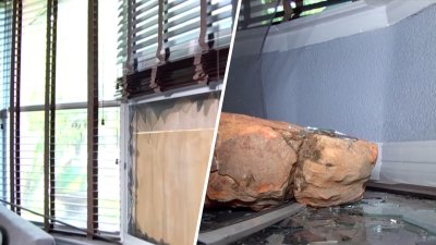 “Se llevaron todo, pero nos dejaron vivos”: abuela relata violento y aterrador robo en su casa
