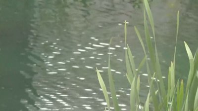 Tenía un año: la acusan de matar a su hijita, ahogándola en un lago
