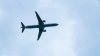 Niña de 11 años muere en un vuelo internacional a Estados Unidos