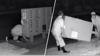 ladrones de correspondencia fueron captados por cámara de vigilancia.