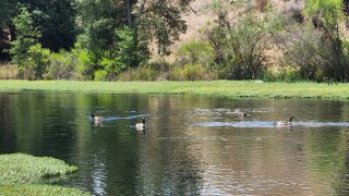 Autoridades reabren a público río San Joaquín en el condado Fresno.