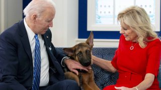 Joe y Jill Biden junto a su perro Commander