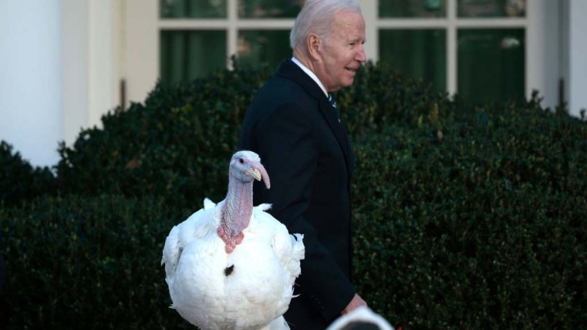 WASHINGTON, DC – NOVEMBER 19:  U.S. President Joe Biden stands with Peanut Butter the turkey after pardoning them during the 74th annual Thanksgiving turkey pardoning in the Rose Garden of the White House on November 19, 2021 in Washington, DC. The 2021 National Thanksgiving Turkey, Peanut Butter, and alternate Jelly, were raised in Jasper, Indiana and will reside on the campus of Purdue University in West Lafayette, Indiana, after today’s presentation. (Photo by Anna Moneymaker/Getty Images)