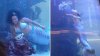 Dramático video: “sirena” se salva de morir ahogada tras atascarse bajo el agua