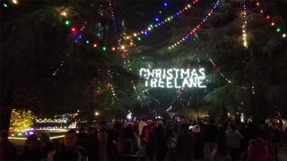 El sábado 2 de diciembre inicia el tradicional Christmas Tree Lane en Fresno.