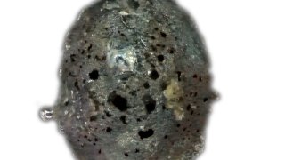 Hallan en Italia un micrometeorito con 'cuasicristales', "uno de los más raros del mundo"