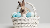 De dónde viene el conejo de Pascua y qué significa