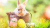 ¿Qué se celebra el Viernes Santo y y cuál es el significado de los huevos de Pascua?