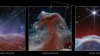 Telescopio espacial James Webb capta la nebulosa “cabeza de caballo” con un detalle sin precedentes