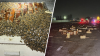 Camión se vuelca con miles de abejas en carretera del Valle Central