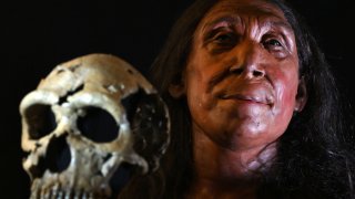 Científicos recrearon el rostro de una mujer neandertal que vivió hace 75,000 años.