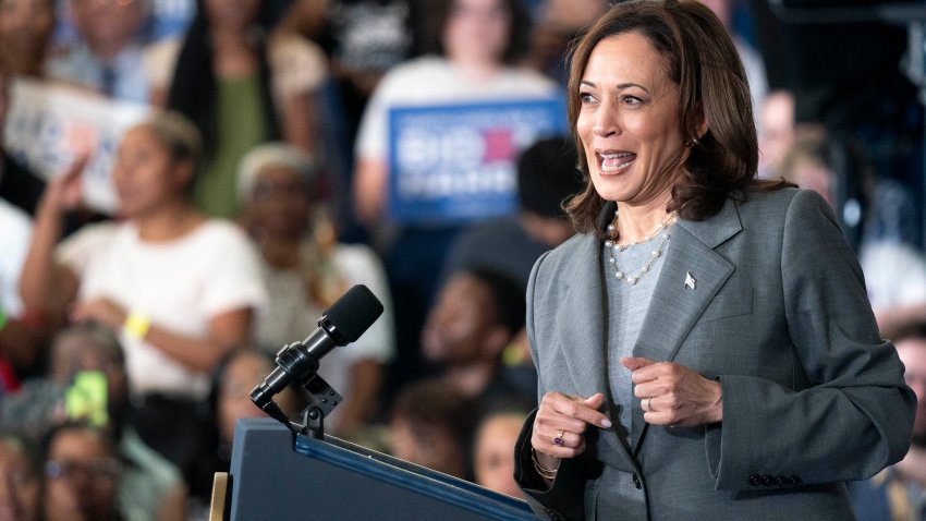 Vice President Kamala Harris speaks to a crowd during a campaign event at James B. Dudley High School on July 11, 2024 in Greensboro, North Carolina.