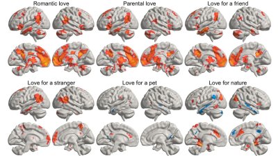 ¿Cuál es el amor más intenso y profundo?: un nuevo estudio lo revela