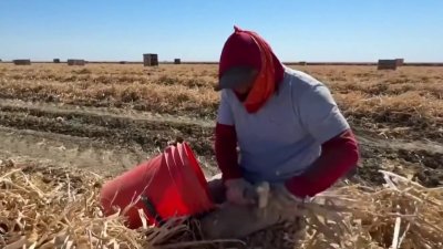 Recomendaciones ante ola de calor extremo en el Valle Central