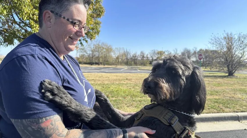 La sargento de la Fuerza Aérea Heather O’Brien sostiene a su perro de asistencia labradoodle, Albus, el jueves 7 de noviembre de 2024, en Kansas City, Kansas.