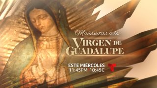 La tradicional velada contará con presentaciones de las estrellas musicales Aracely Arámbula, Cristina Eustace, Maribel Guardia, Edwin Luna y la Trakalosa de Monterrey, y Olga Tañón además de la misa en honor a la Patrona de las Américas, y será presentada por Patty Navidad y Alexander Acha.