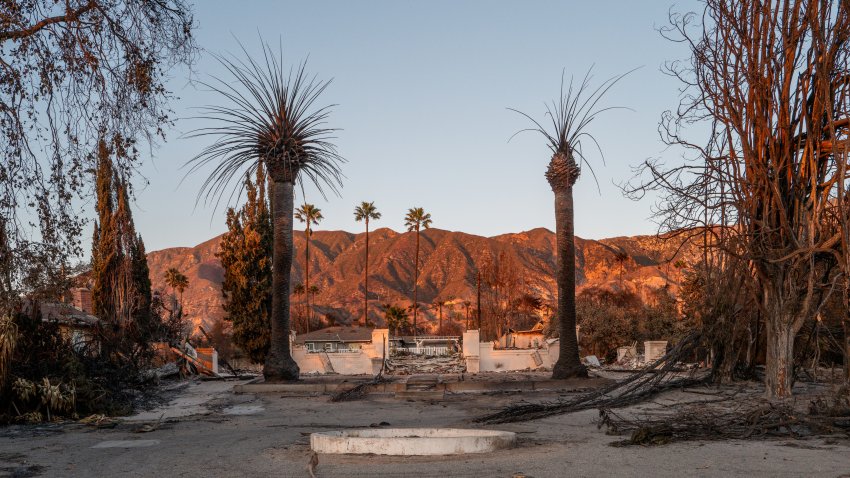 ALTADENA, CALIFORNIA – JANUARY 15: The foundation of a destroyed residence is seen between palm trees on January 15, 2025 in Altadena, California. Multiple wildfires fueled by intense Santa Ana Winds are burning across Los Angeles County, with at least 25 people dead, more than 12,000 structures destroyed or damaged, and 40,000 acres burned. More than 88,000 people remain under evacuation orders as high winds are forecast. (Photo by Brandon Bell/Getty Images)