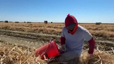 ¿Cómo saber si tus derechos como trabajador fueron violados? Esta organización te explica