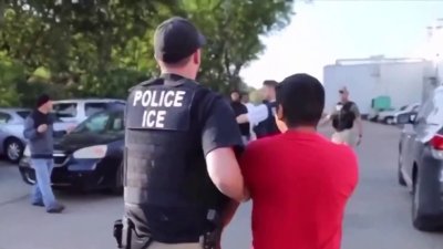 ¿Qué riesgos enfrentan los inmigrantes indocumentados al no tener Real ID?