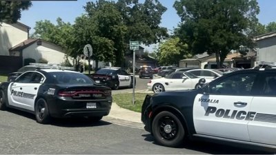 Arrestan a un hombre sospechoso de dispararle a los 4 perros de su vecino