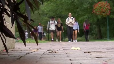 Alas, las becas regionales para estudiantes, llegan al Valle Central: ¿Quiénes califican?
